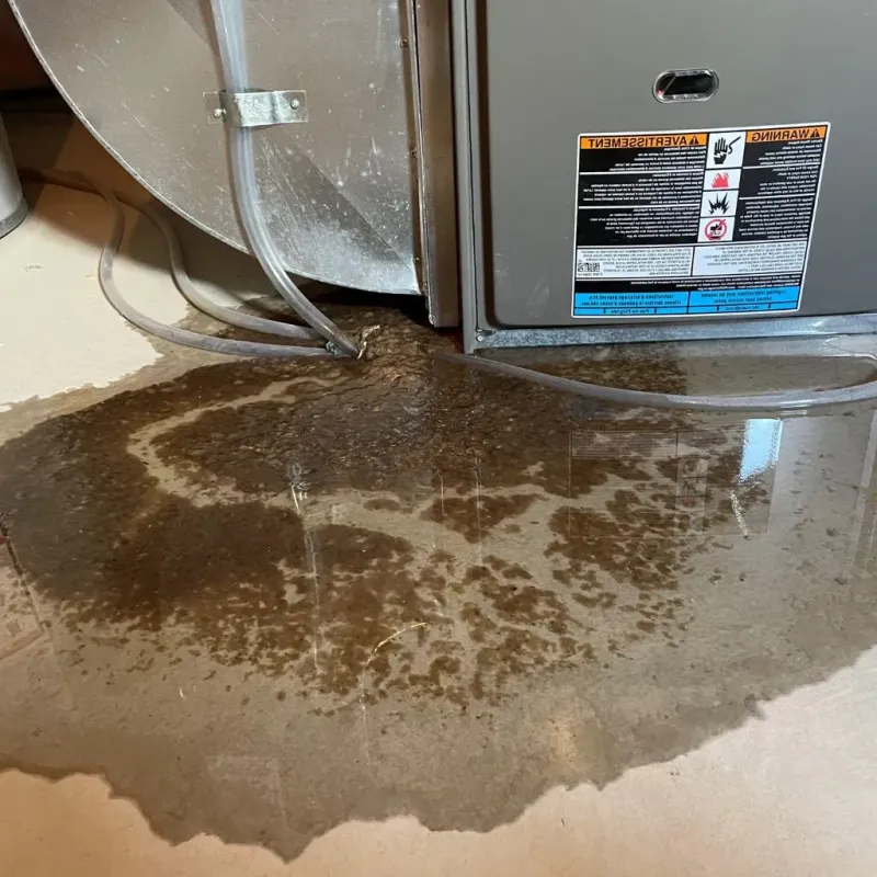 Pipe Burst and Leak Restoration in Grundy Center, IA